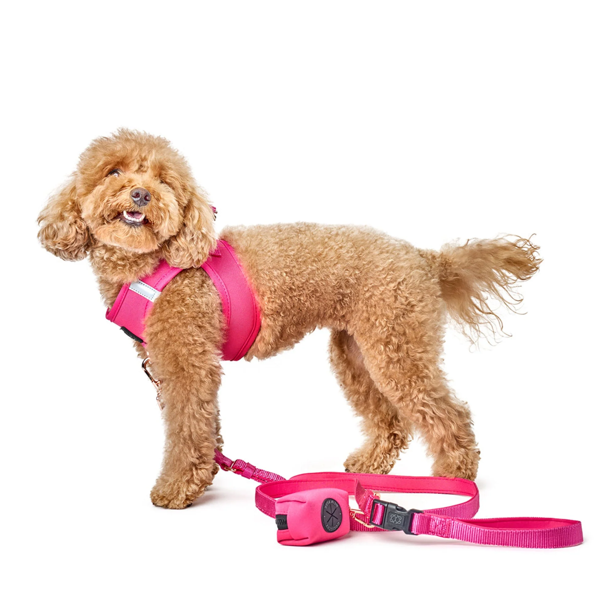 3-in-1 City Dog Leash - Park Ave Pink - Image 4