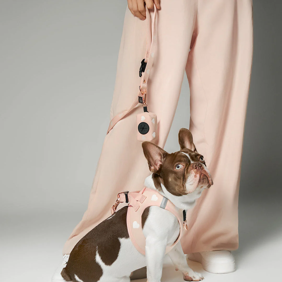 3-in-1 City Dog Leash - Sweetheart - Image 3