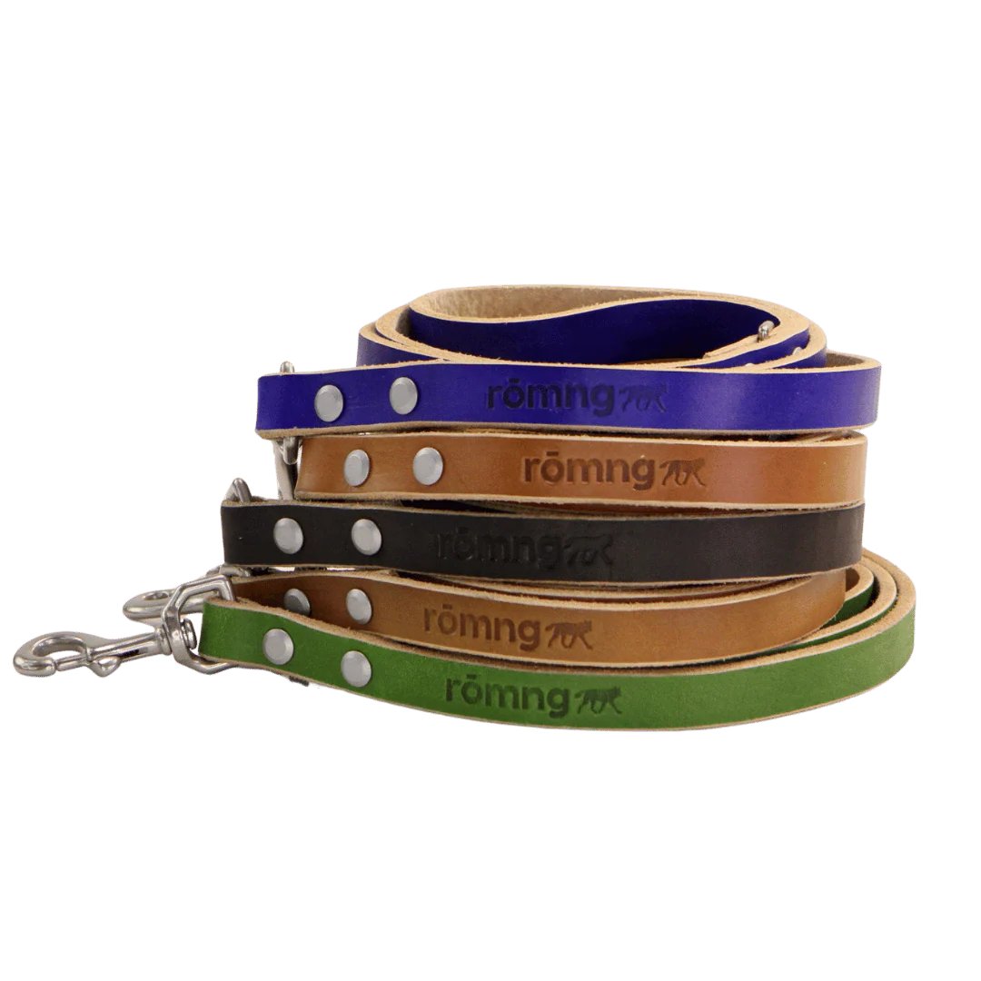 handmade leather dog leash
