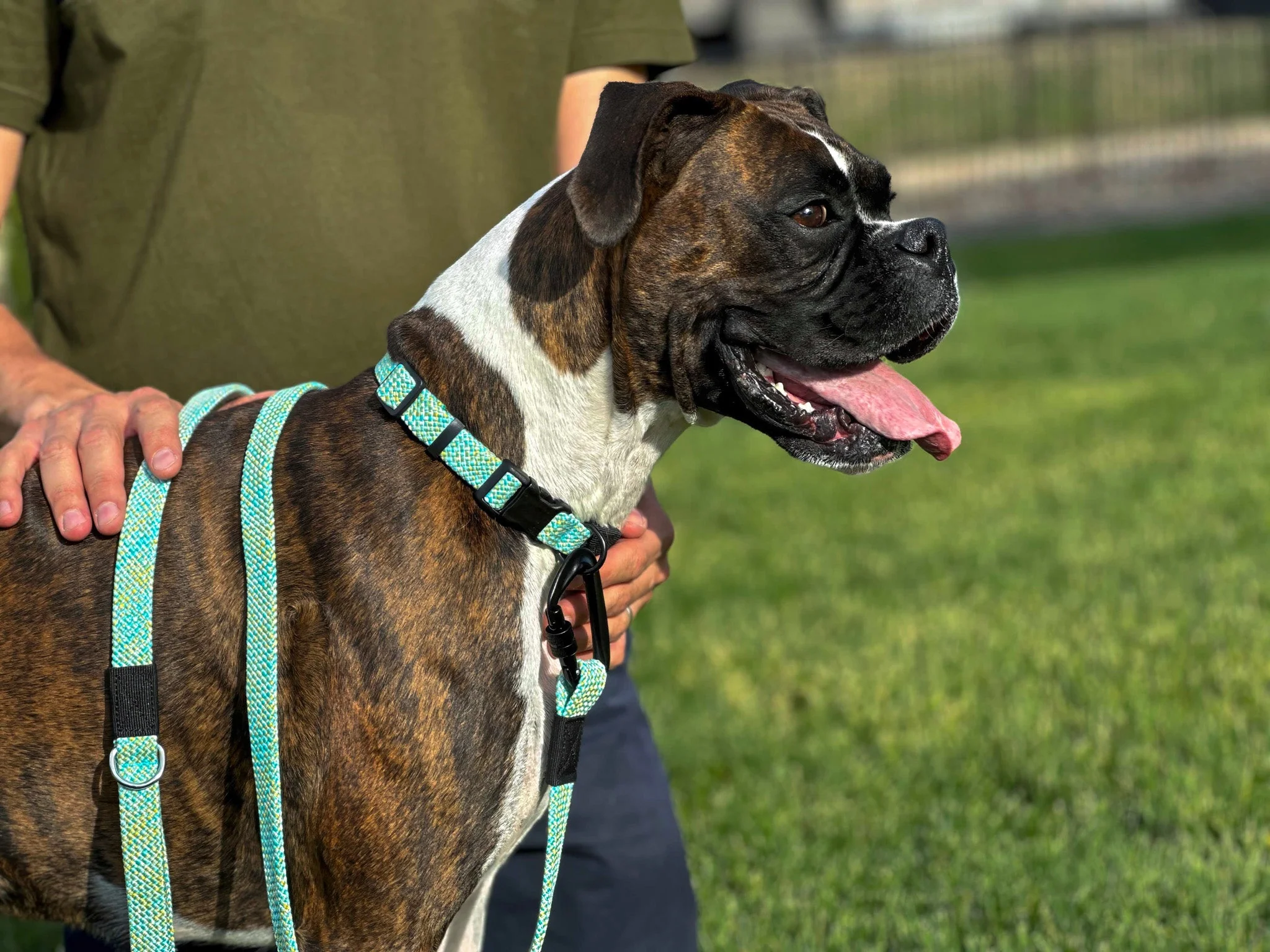 Adventure Style Collar and Leash SET - Image 3