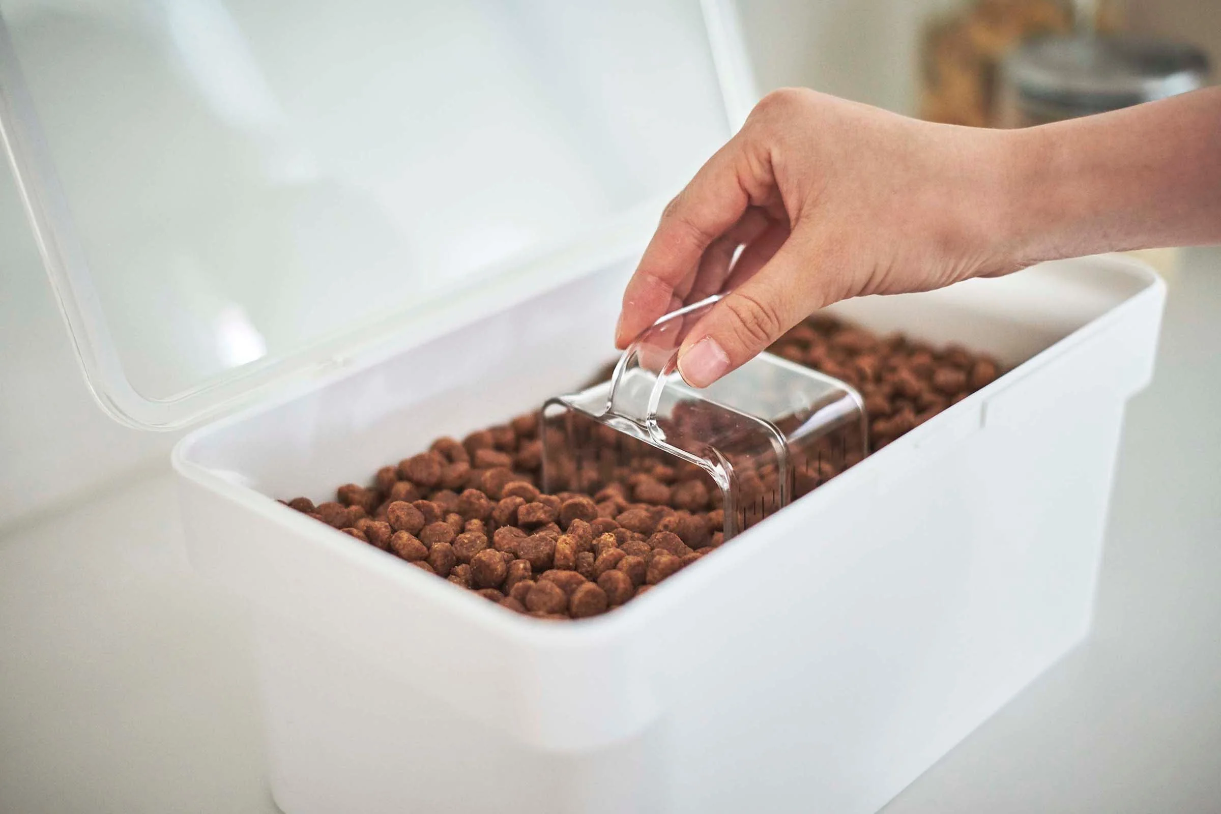 Airtight Pet Food Container - Three Sizes - Image 4