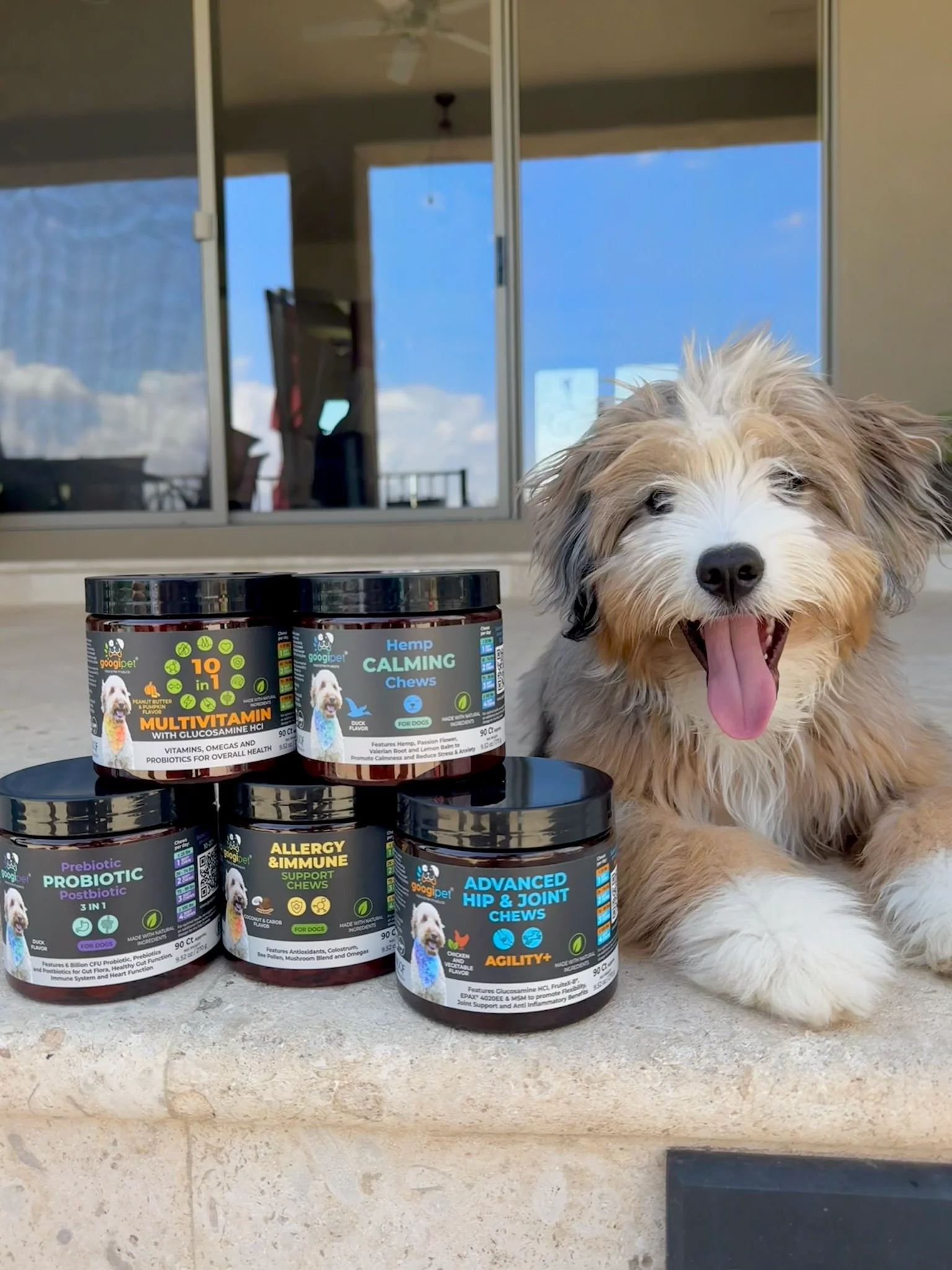 Allergy & Immune Support Chews for Dogs (Peanut Butter Flavor) - Image 9