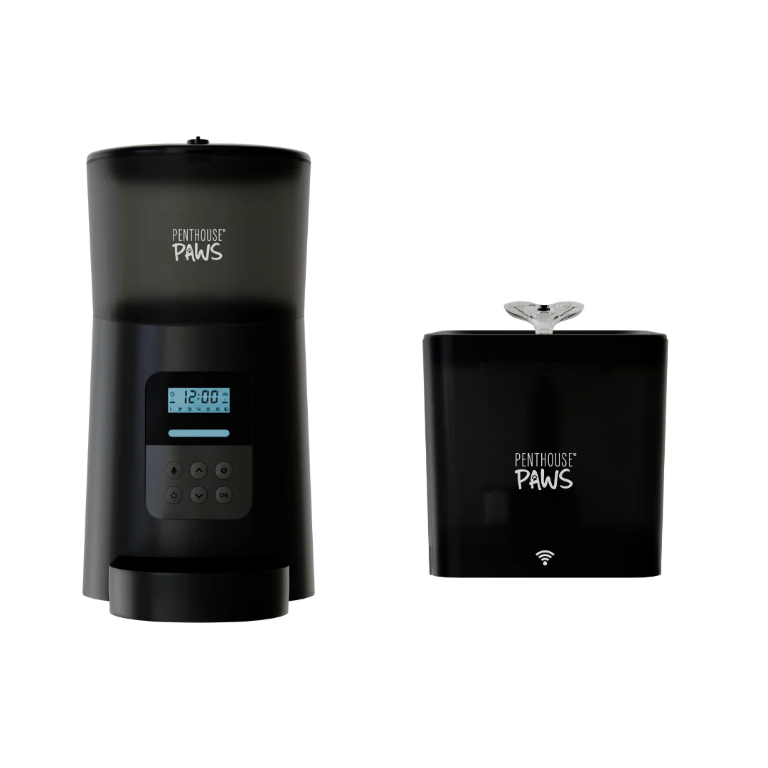 Automatic Cat Feeder & Smart Water Fountain - Image 5