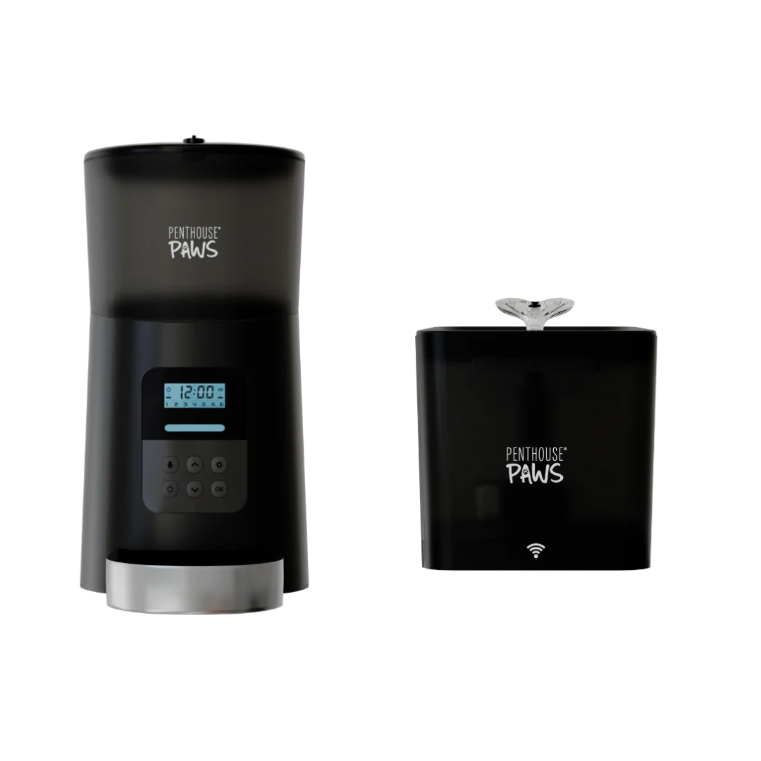 Automatic Cat Feeder & Smart Water Fountain - Image 6