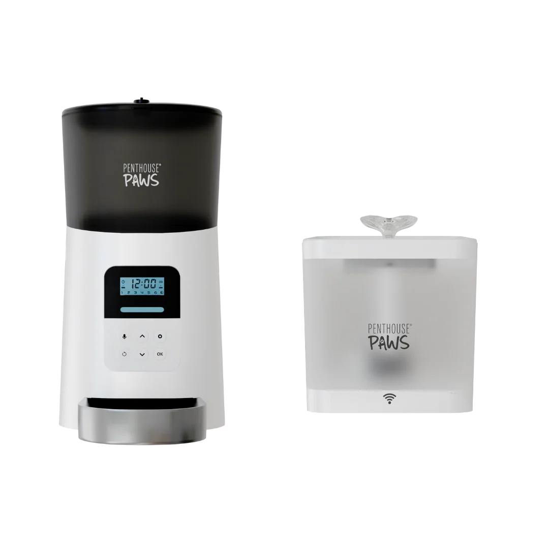 Automatic Cat Feeder & Smart Water Fountain - Image 8