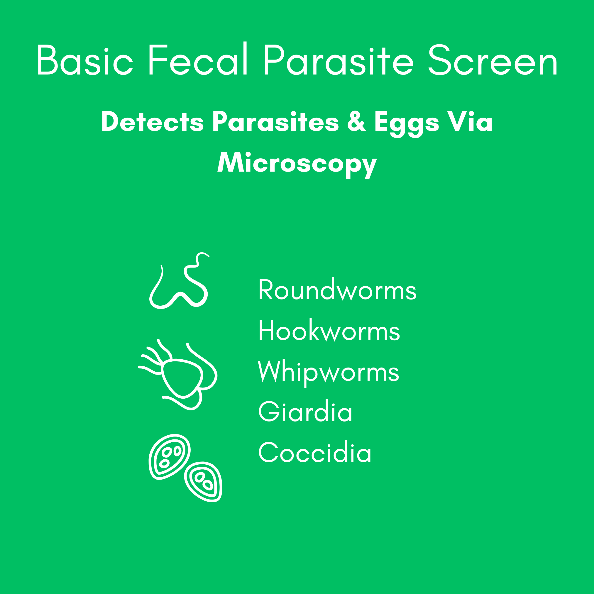 Basic Fecal Parasite Screen Mail in Lab Test for Cats & Dogs (Ova & Parasite) - Image 3