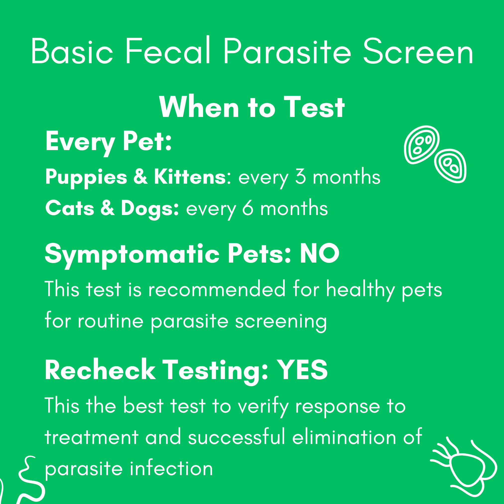 Basic Fecal Parasite Screen Mail in Lab Test for Cats & Dogs (Ova & Parasite) - Image 4