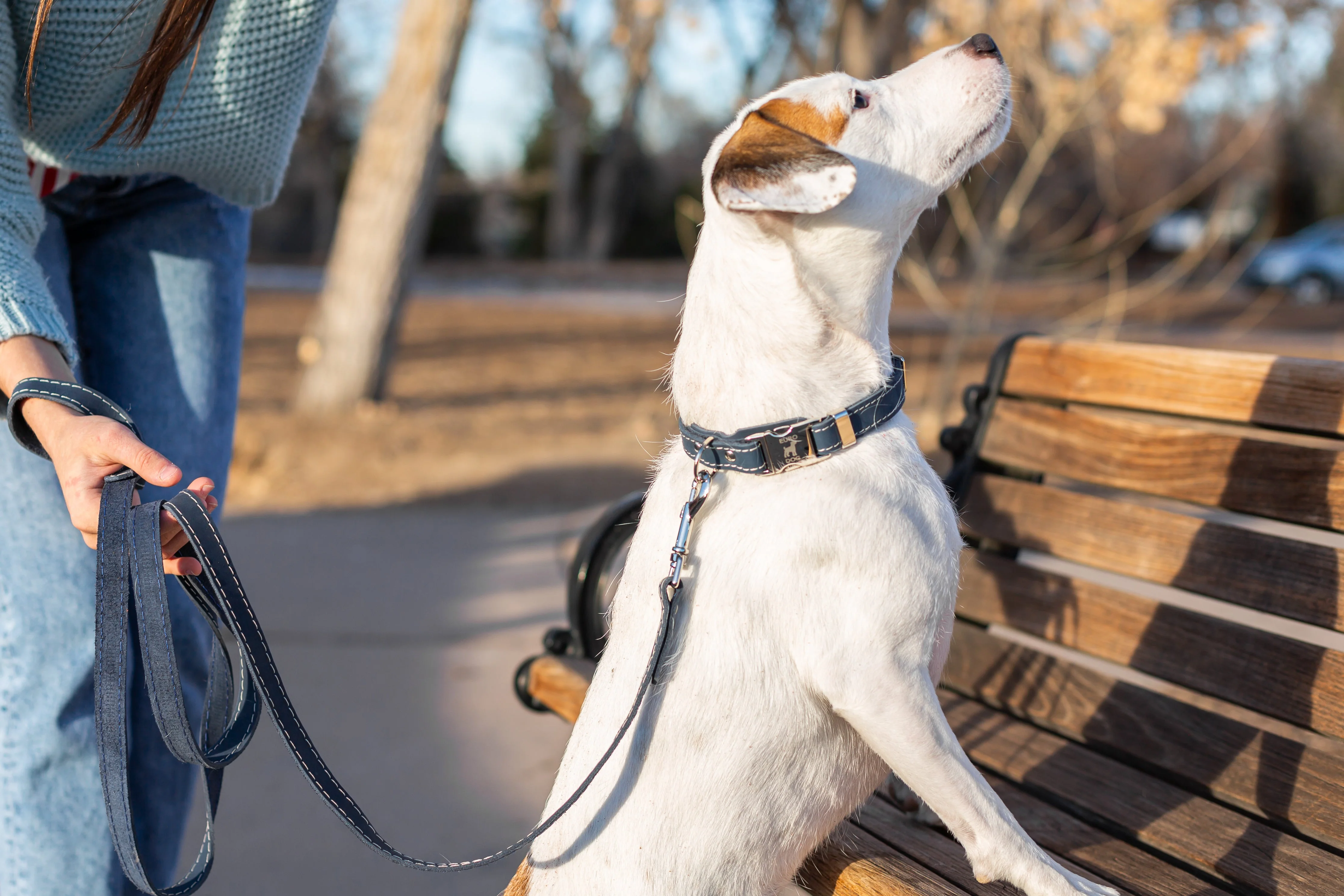 Pro Line Quick-Release Blue Jeans Leather Dog Collar with Metal Buckle - Image 5