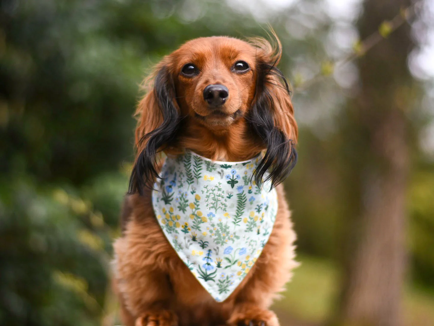 "Big Valentine Hearts" Dog Bandana - Image 7