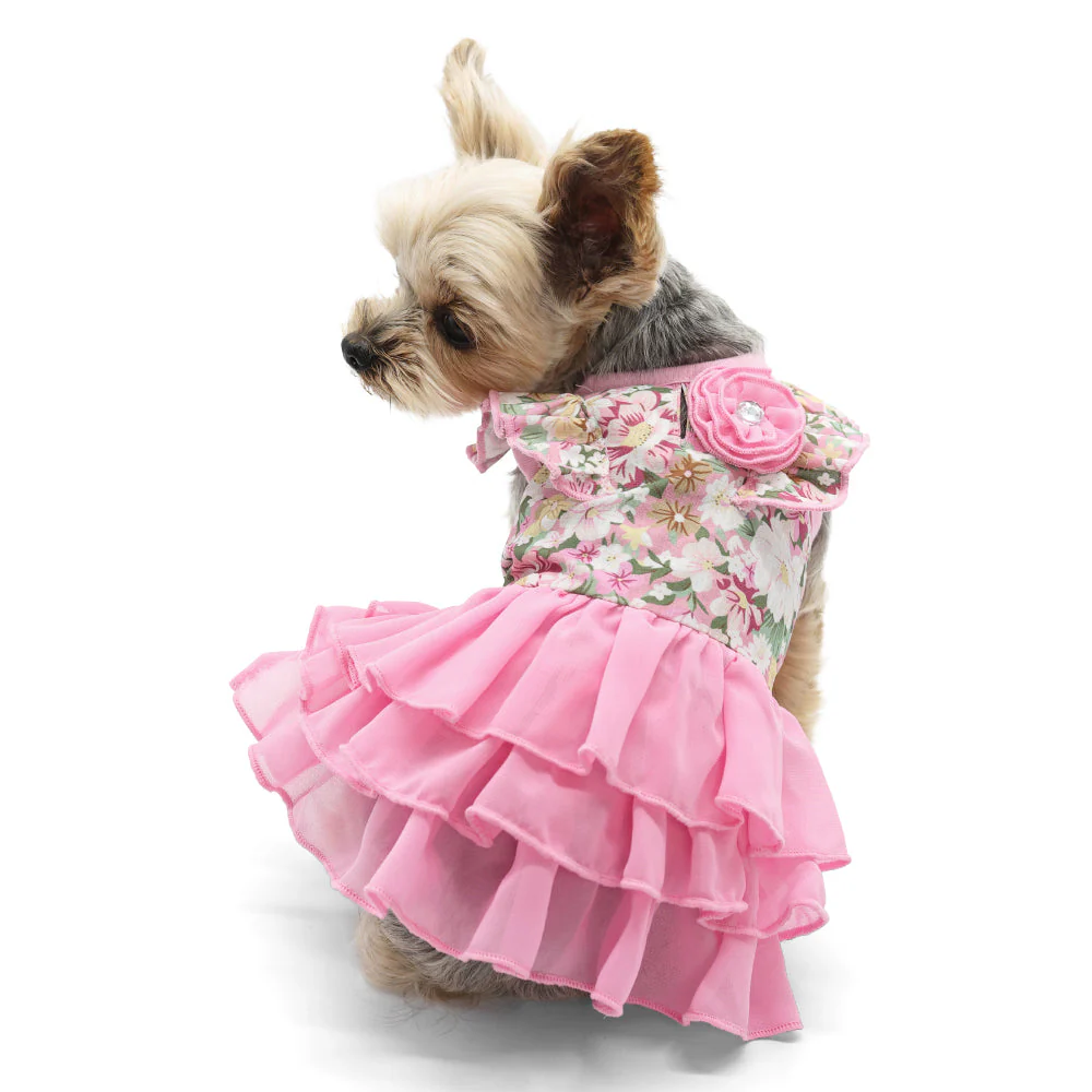 Blossom Dress