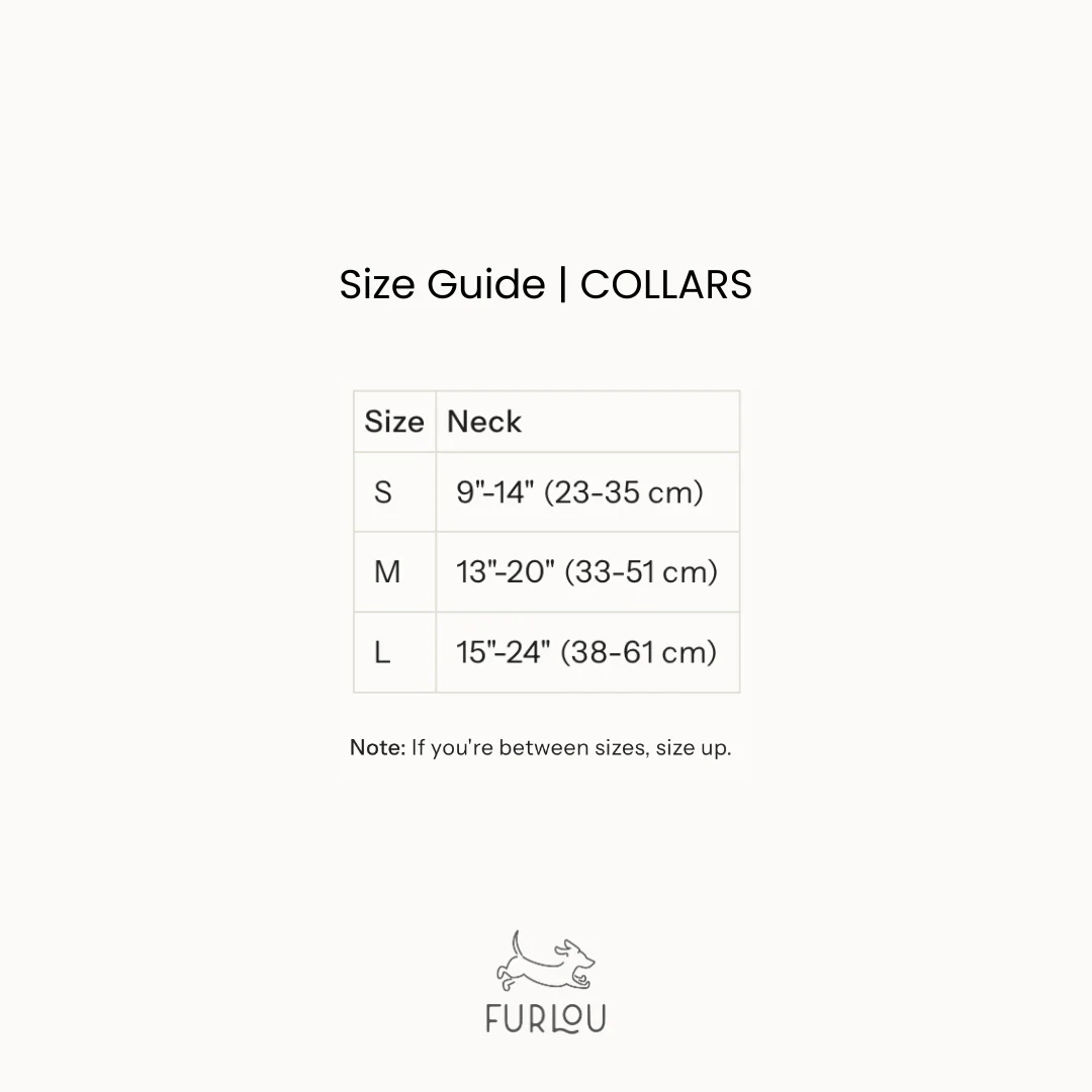 'Blue' - Canvas Dog Collar - Image 3