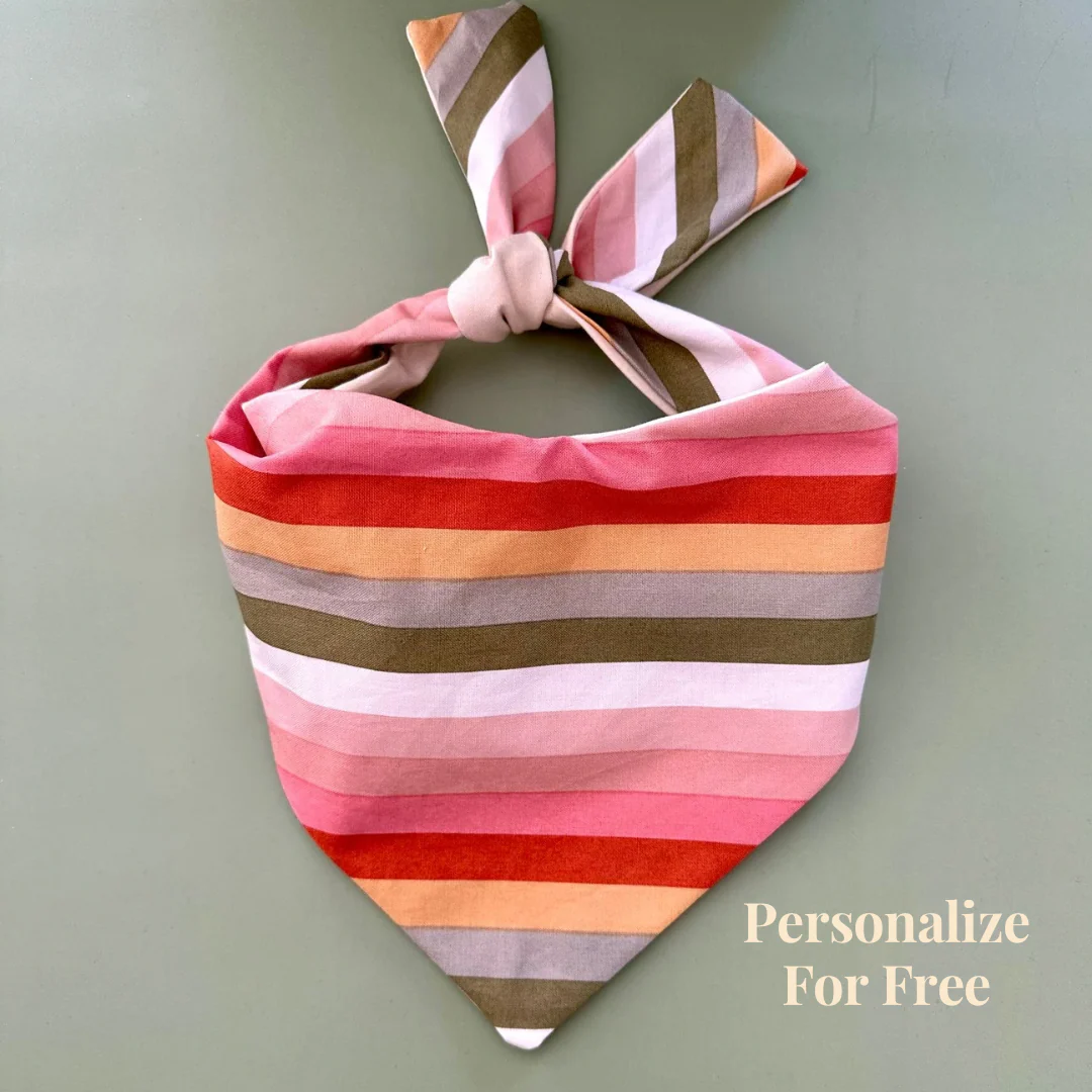 Boho Stripes Dog Bandana