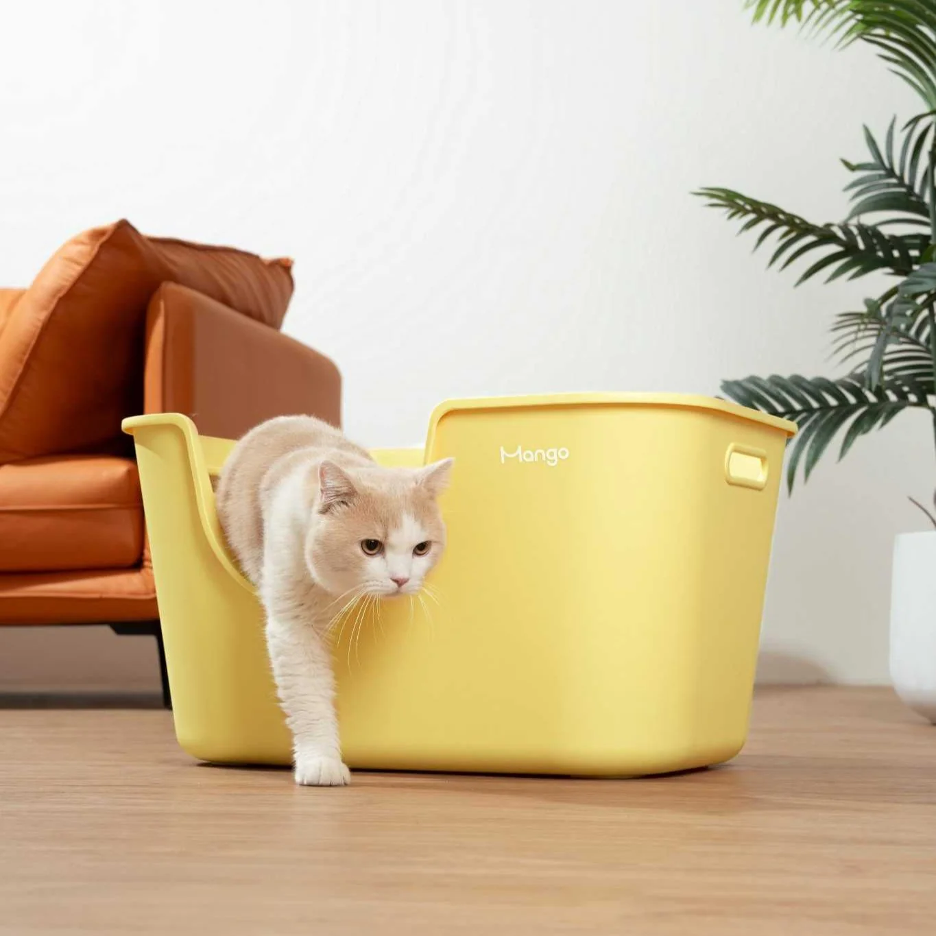 Butter Litter Box Extra Large - Image 4