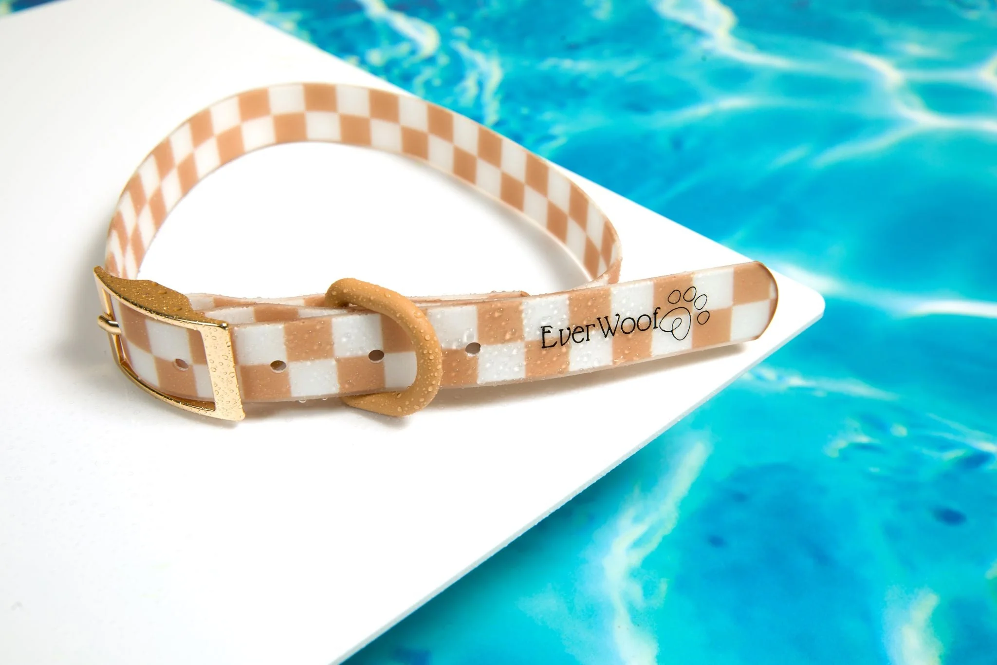 Check Me Out Waterproof Collar