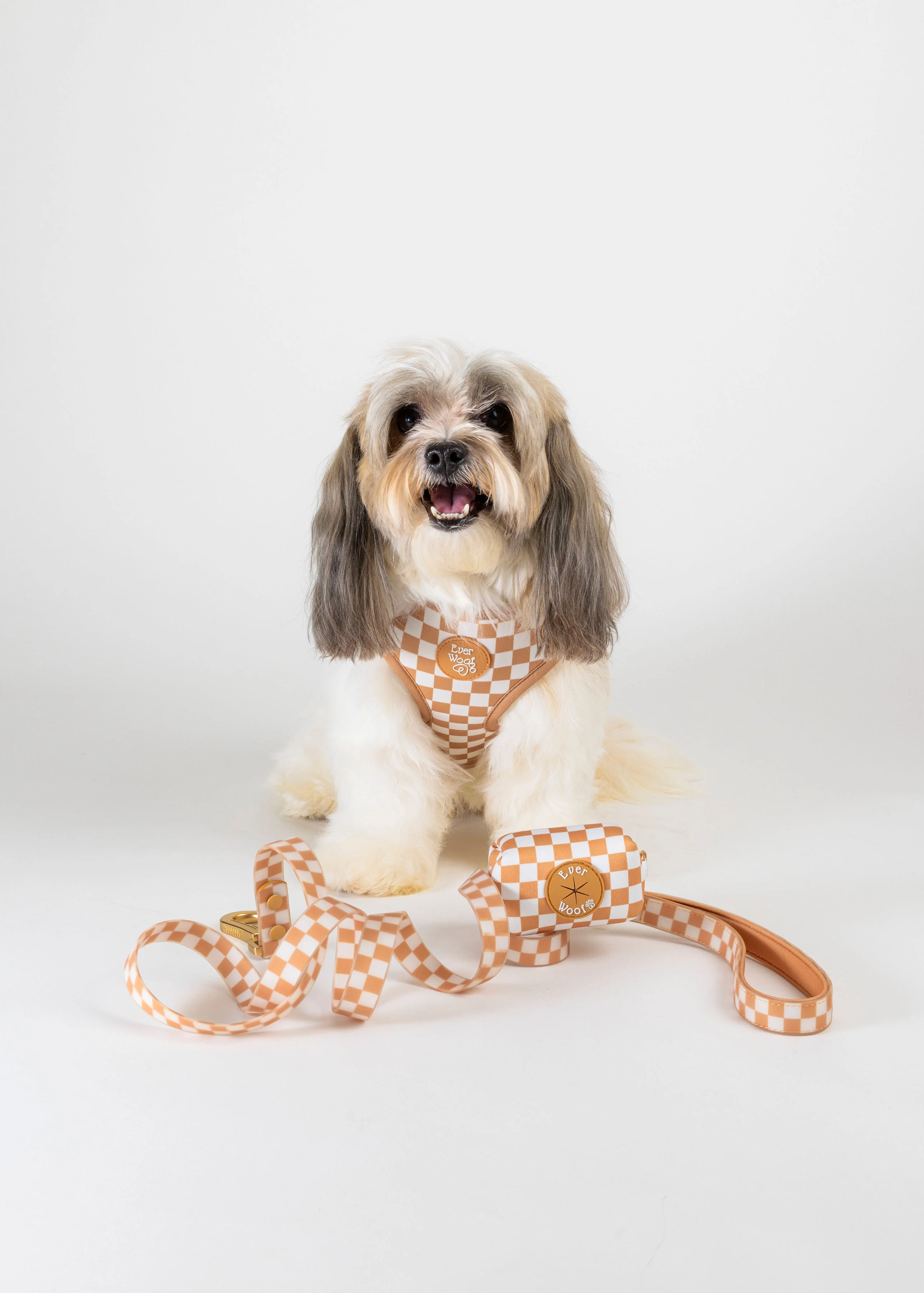 Check Me Out Waterproof Leash - Image 3