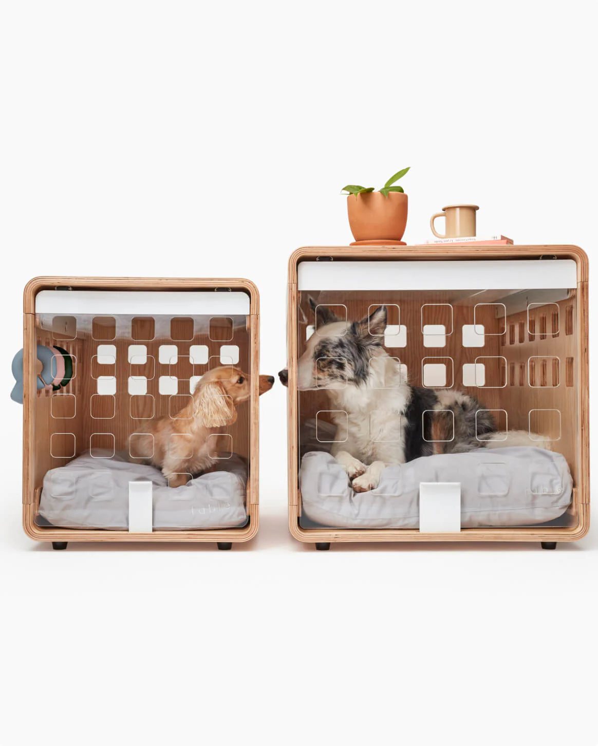 Crate - Image 11