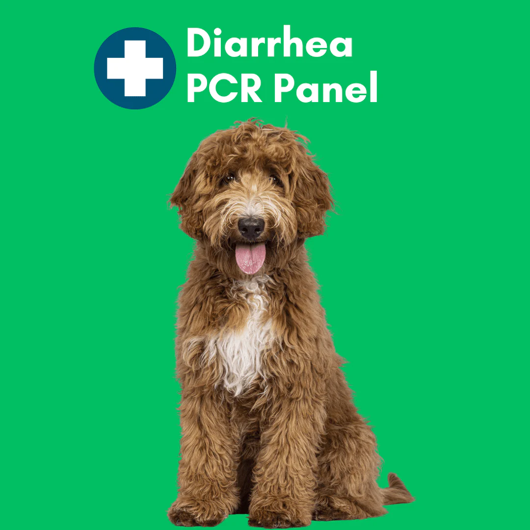 Diarrhea Check Mail-In Test for Dogs (PCR): At-Home Testing - Image 2