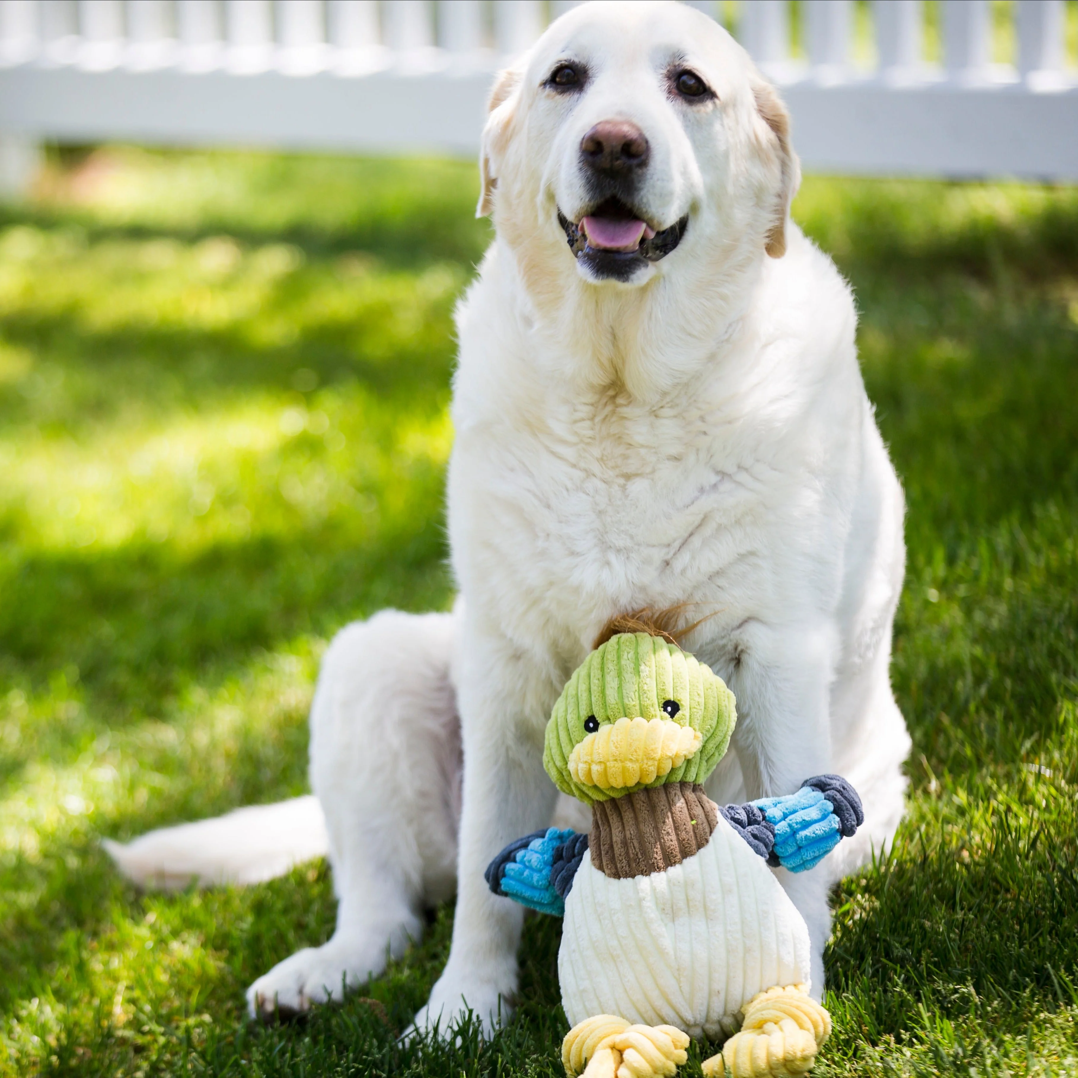 Dilly Duck KnottieĀ® Plush Dog Toy - Image 11