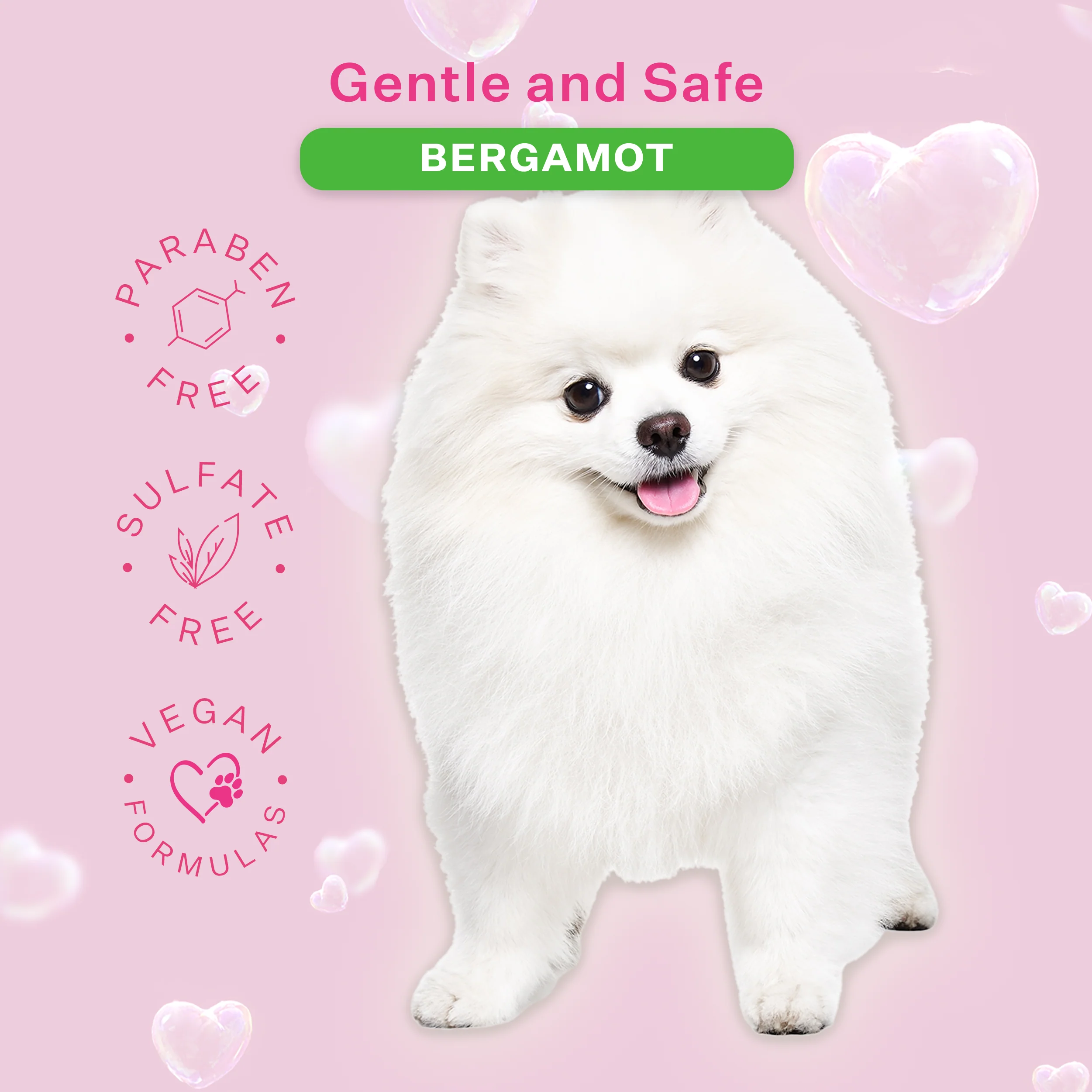 Dog & Pup Shampoo Bergamot 480ml - Image 8