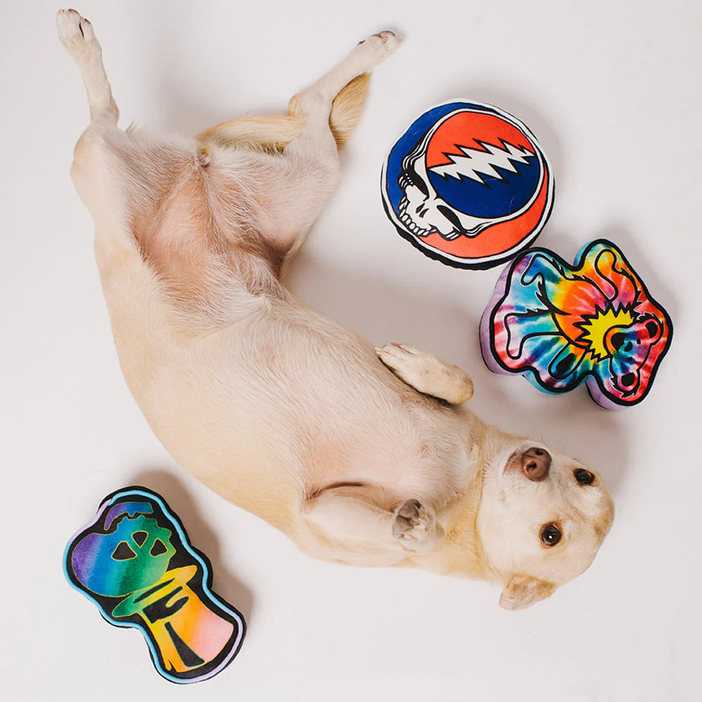 Dog Toy Squeaker Plush - Grateful Dead Skeleton Head Dancing Skeletons Black Multi Color - Image 3