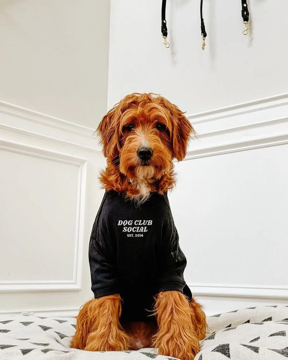 Embroidered Tee (Dog)