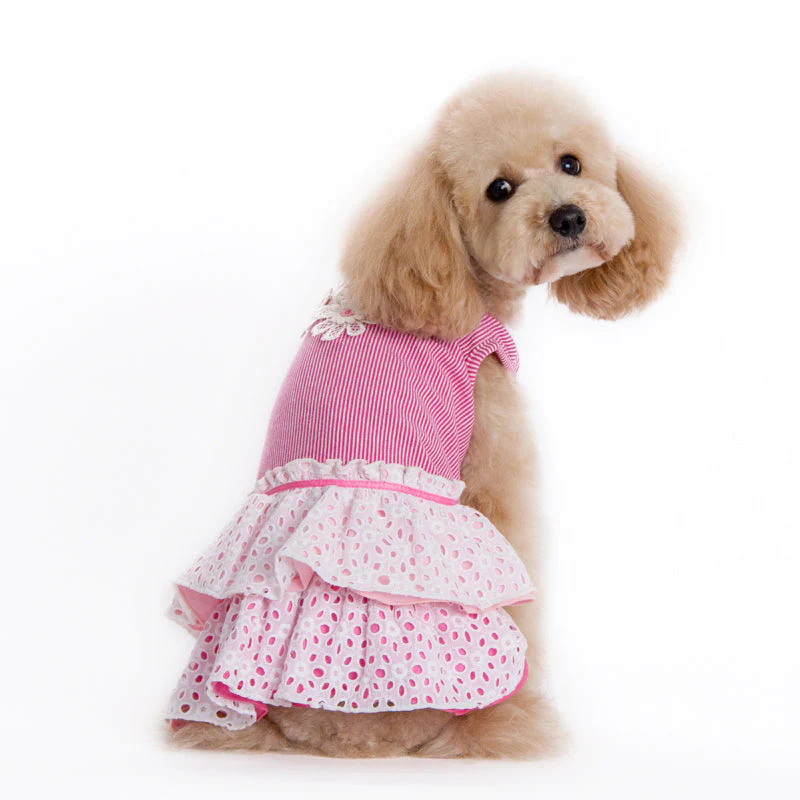 Eyelet Flower Dress