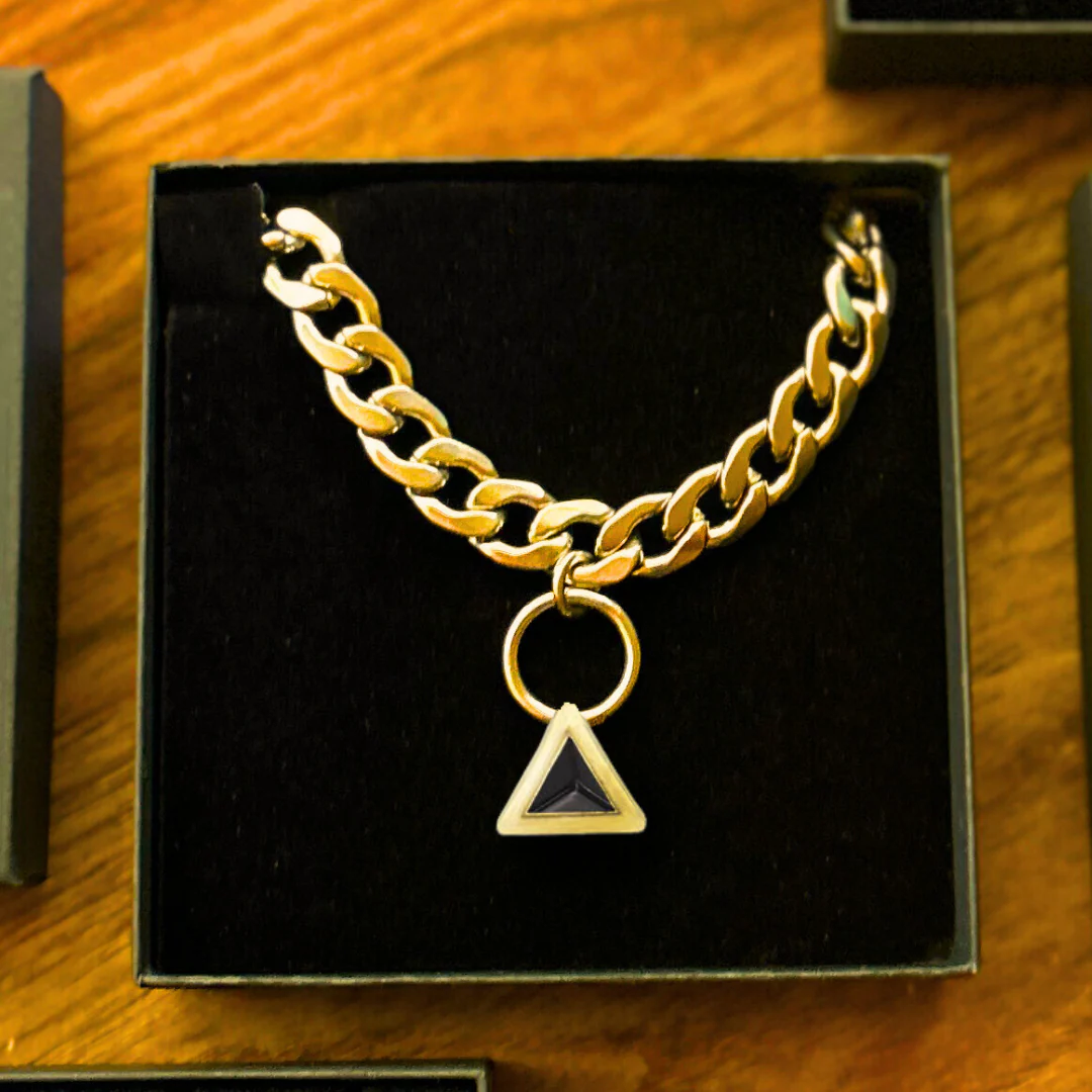 Fierce Gold Pet Necklace | DIPHDA - Image 2