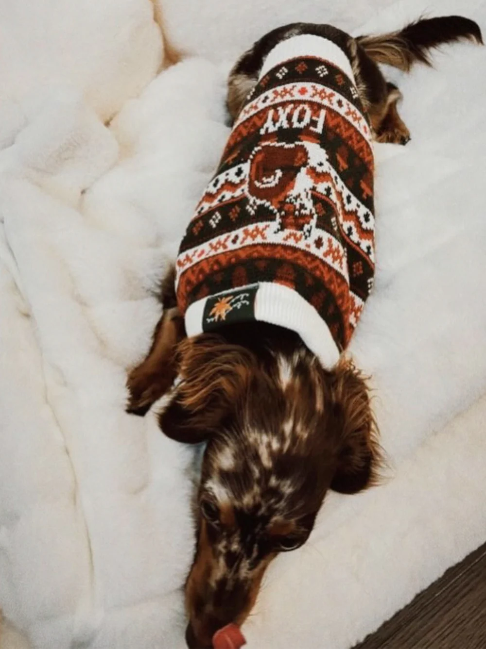 Foxy Sweater