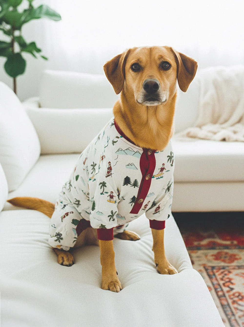 Fun Fam Surfing Santa Pajama (Dog & Kid Sizes Only)