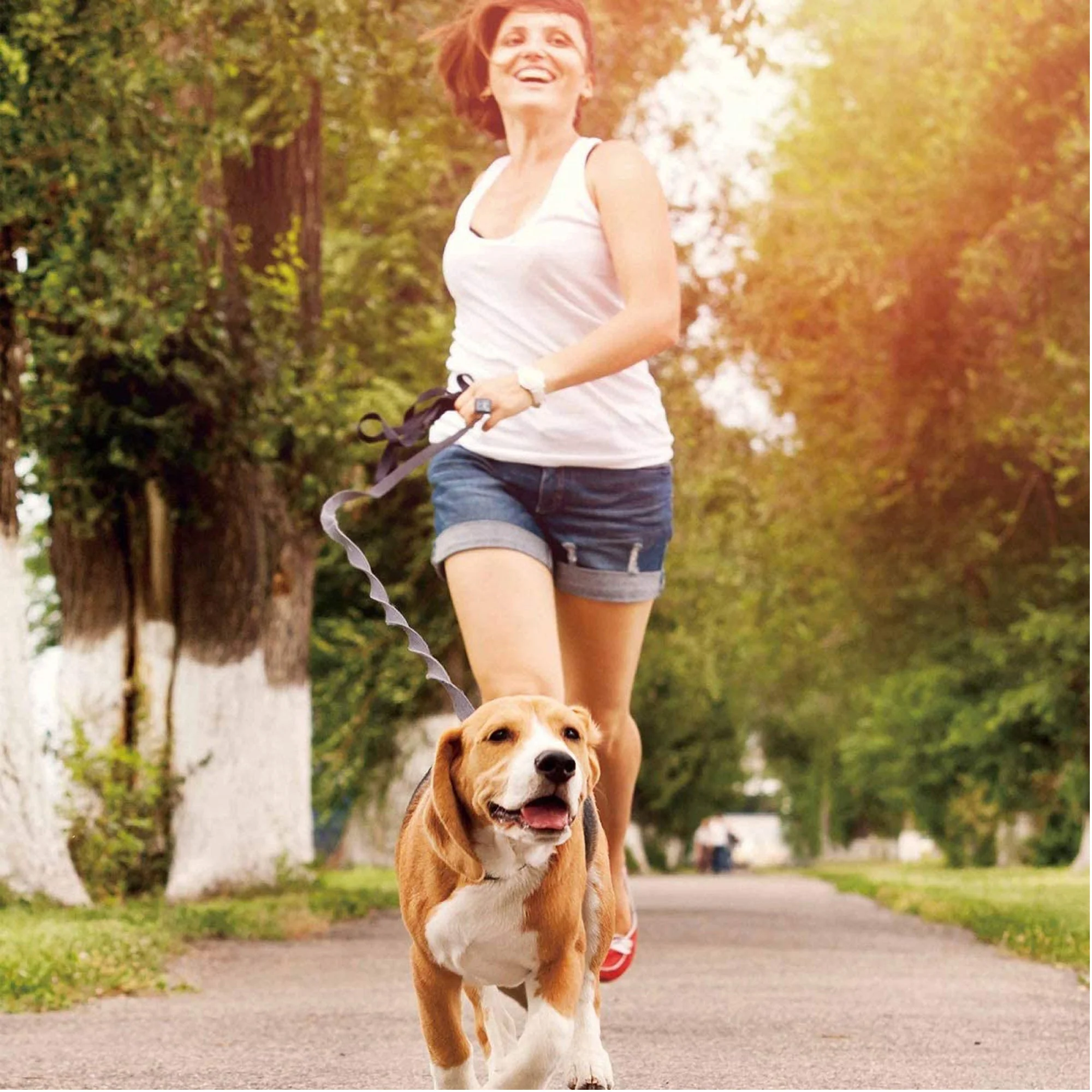 GOOPAWS No Pull Hand Free Bungee Dog Leash for Hiking, Running, Green - Image 7