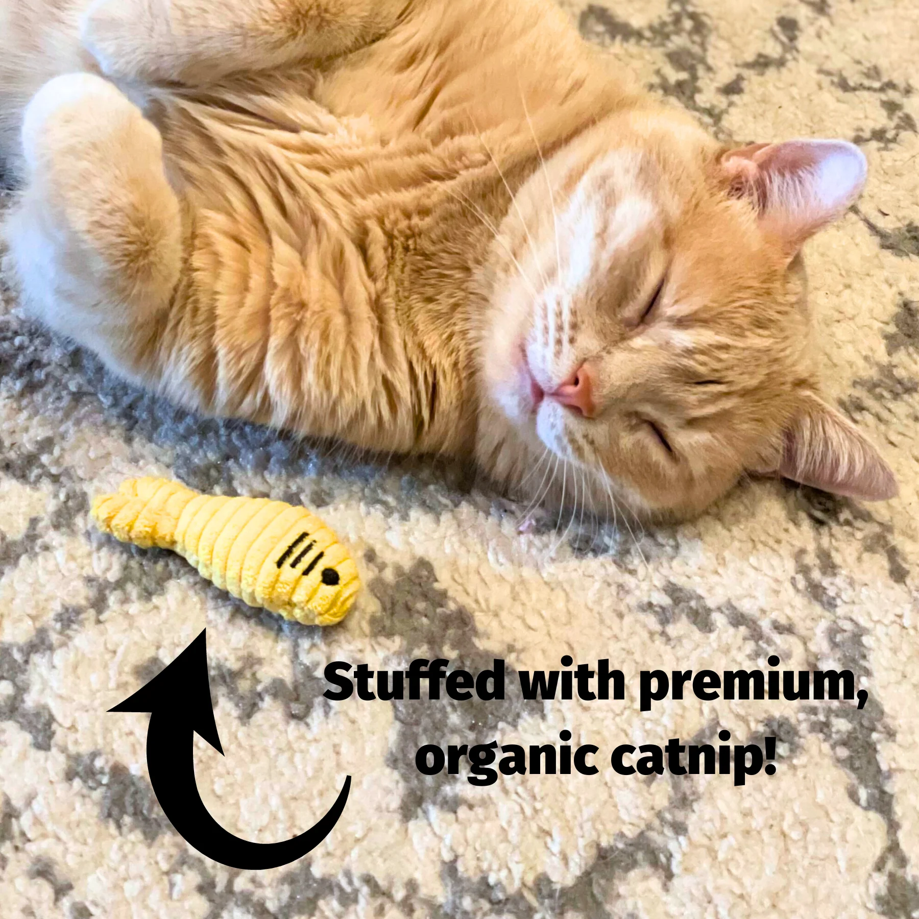 HuggleKats® Chickies Cat Toys, 3 Pack - Image 11