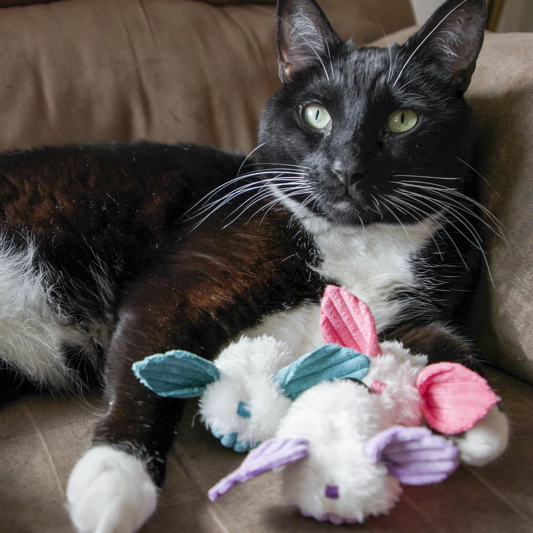 HuggleKatsÂŽ Dust Bunnies Cat Toys, 3 Pack - Image 10
