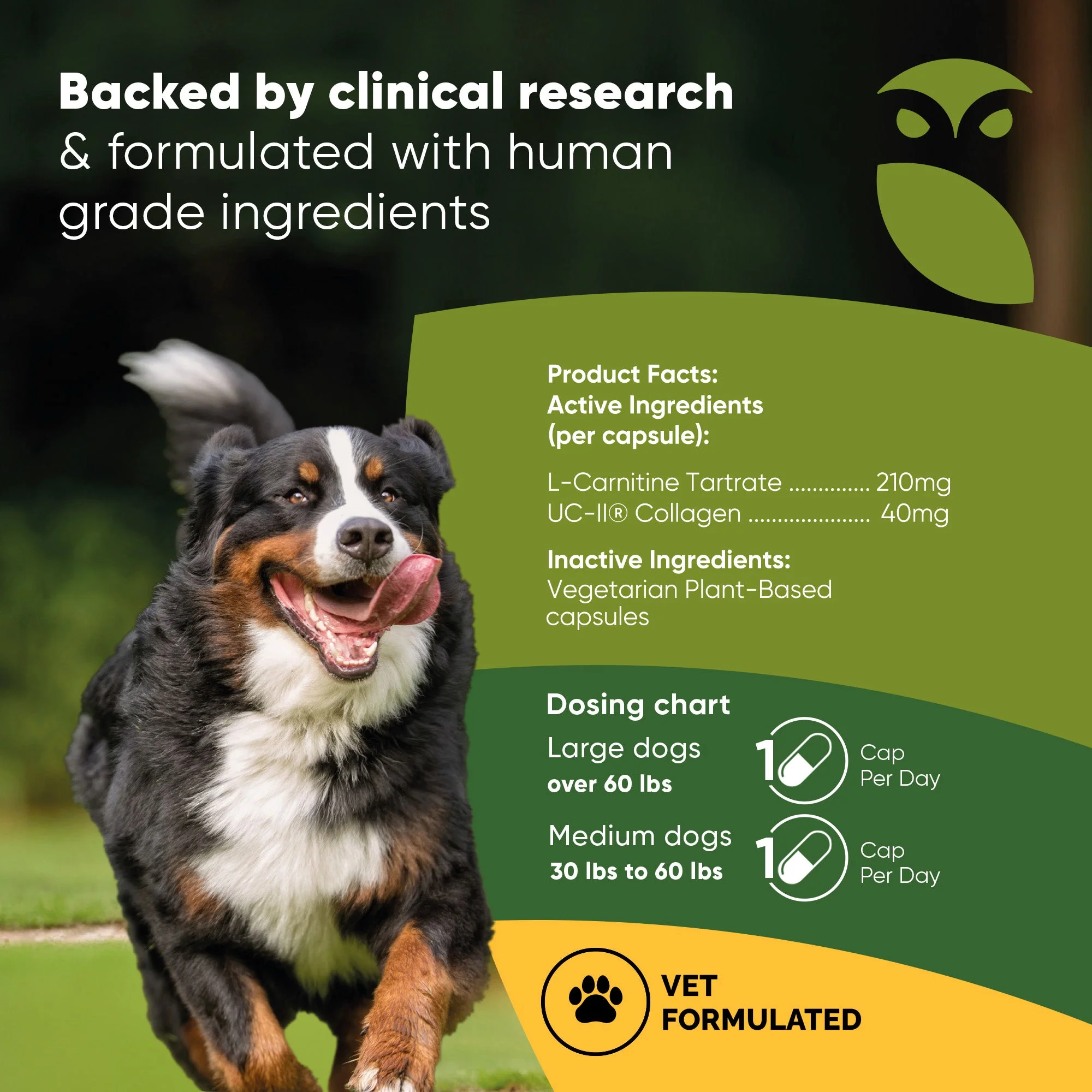Joint & Muscle Health (Cats & Small Dogs) - Image 17