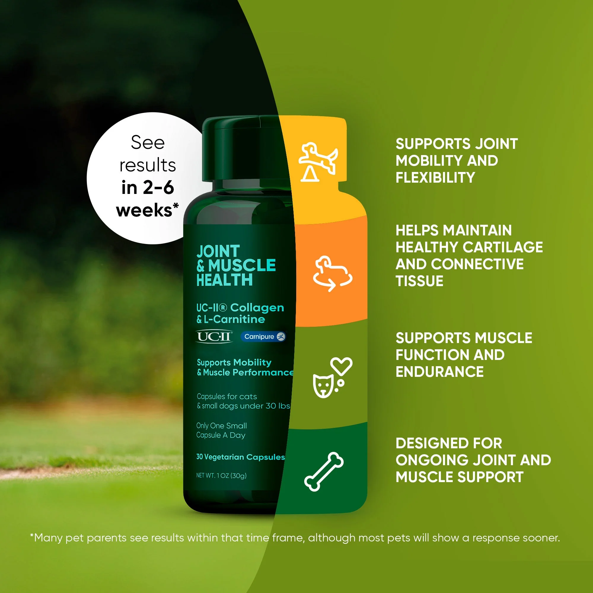 Joint & Muscle Health (Cats & Small Dogs) - Image 25