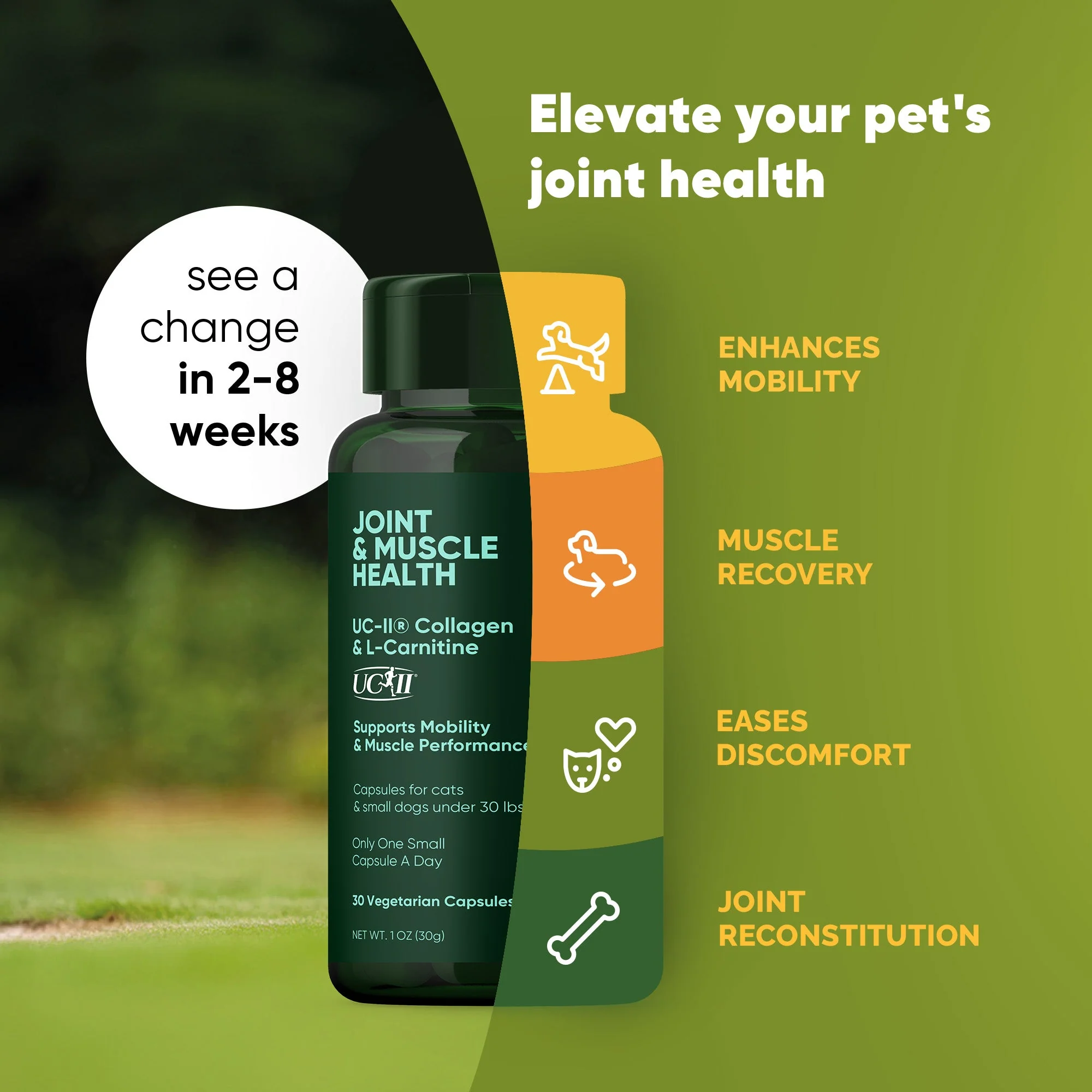 Joint & Muscle Health (Cats & Small Dogs) - Image 3