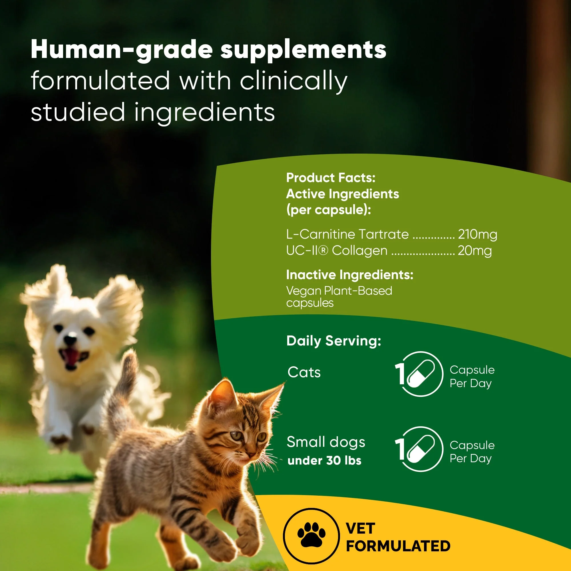 Joint & Muscle Health (Cats & Small Dogs) - Image 33