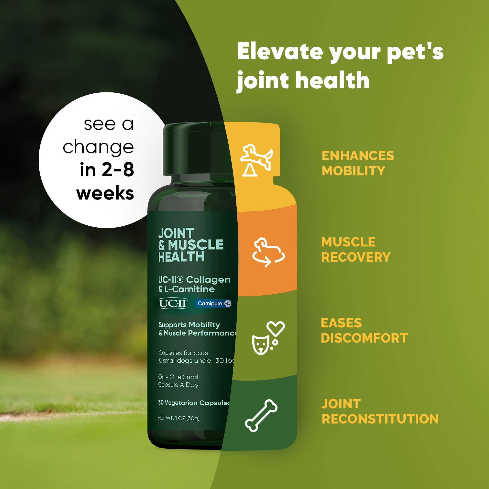 Joint & Muscle Health (Medium & Large Dogs) - Image 17