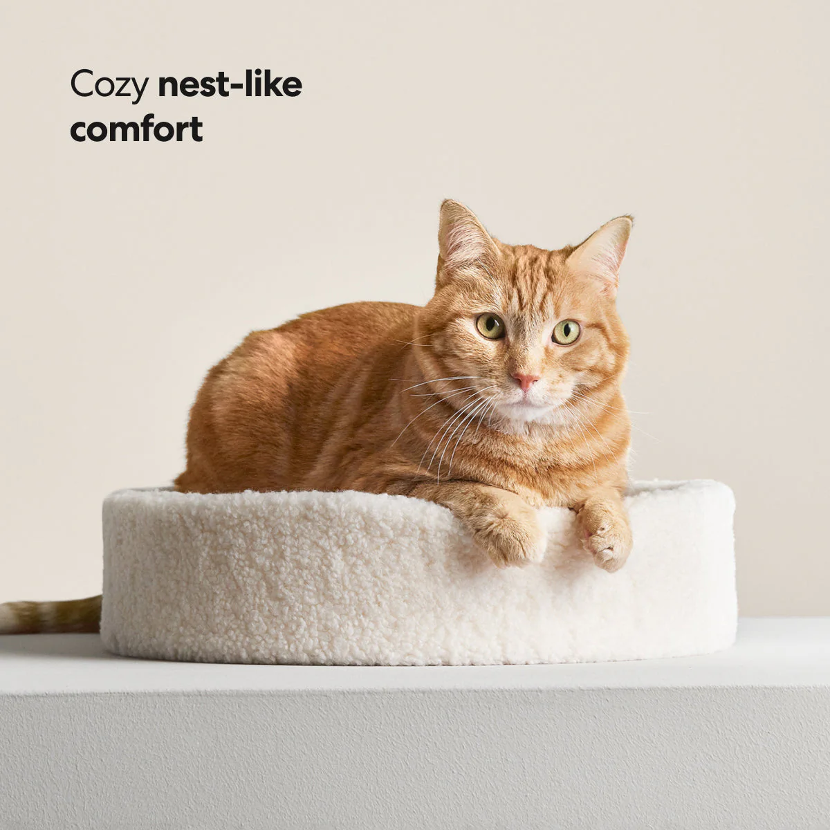 Kip Cat Bed - Image 5