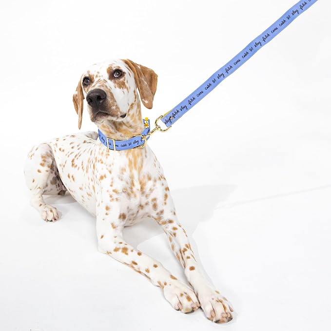 Kate Spade Raining Cats and Dogs Small Leash - Image 4