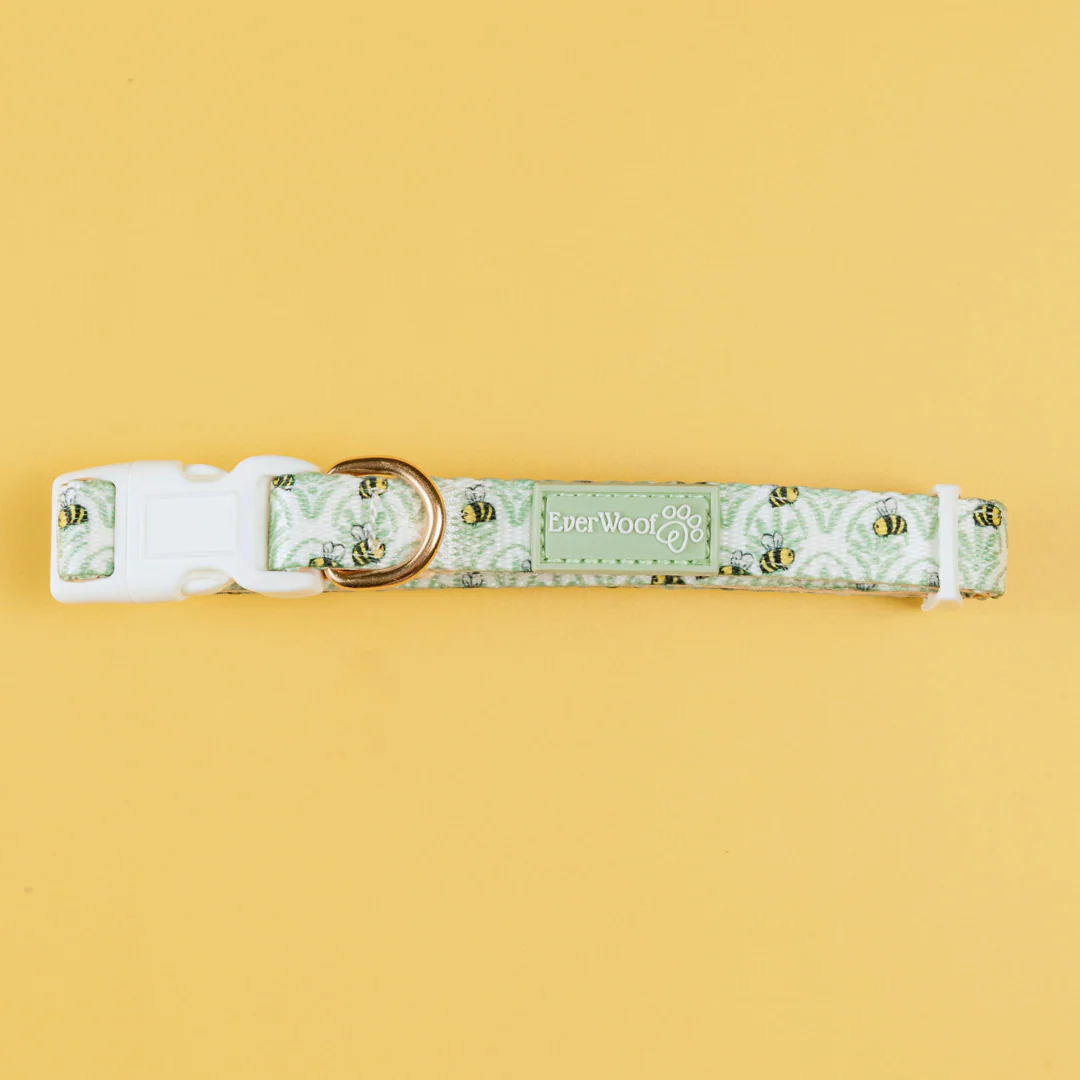 Little Honey Collar