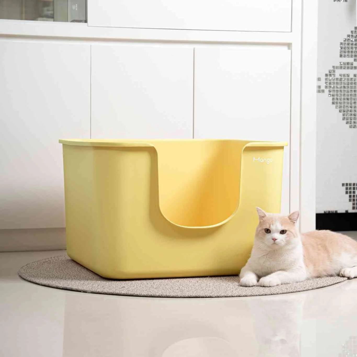 Mango Cube Litter Box XXL (Double Extra Large) - Image 5