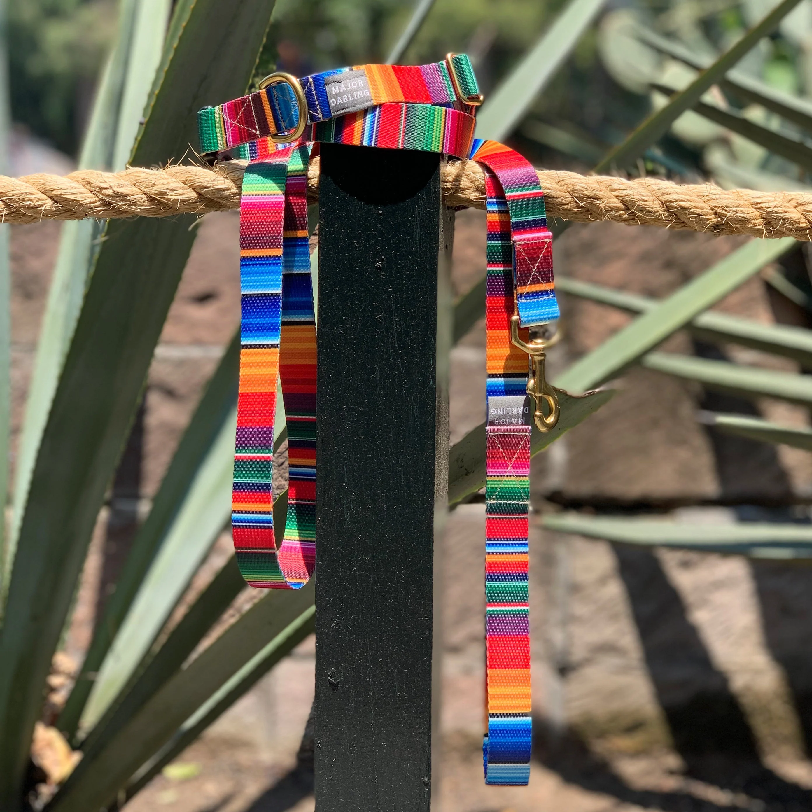 martingale collar / serape + navy - Image 5