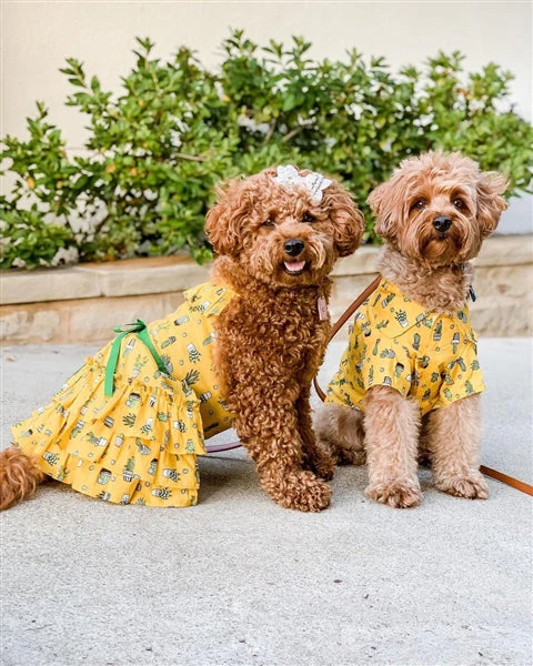 Parisian Pet 'Cactus Tiered Dress' Dog & Cat Shirt – Tropical Summer Outfit – Yellow - Image 3