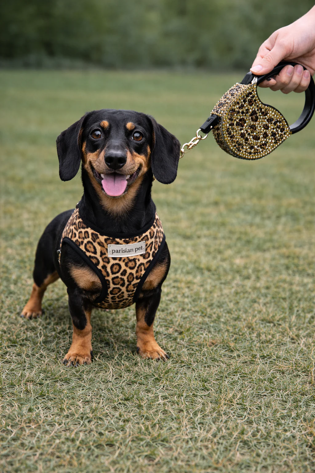 Parisian Pet 'Crystal Retractable Leash Leopard' for Dogs & Cats β Strong, Stylish Leash for Small Dogs, 16-Foot Length - Image 3