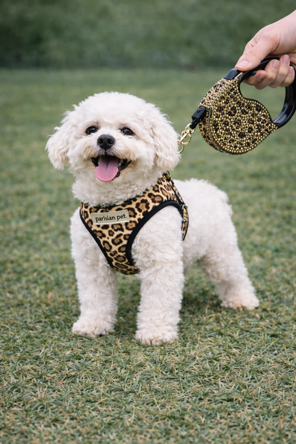 Parisian Pet 'Crystal Retractable Leash Leopard' for Dogs & Cats β Strong, Stylish Leash for Small Dogs, 16-Foot Length - Image 4