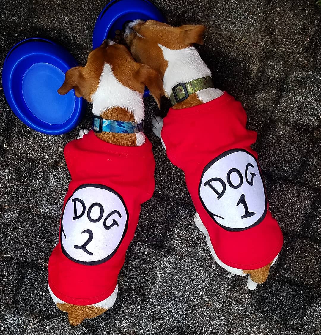 Parisian Pet 'Dog 1' Dog Shirt – Fun Slogan Cotton Pet T-Shirt for Dogs & Cats, Red - Image 3
