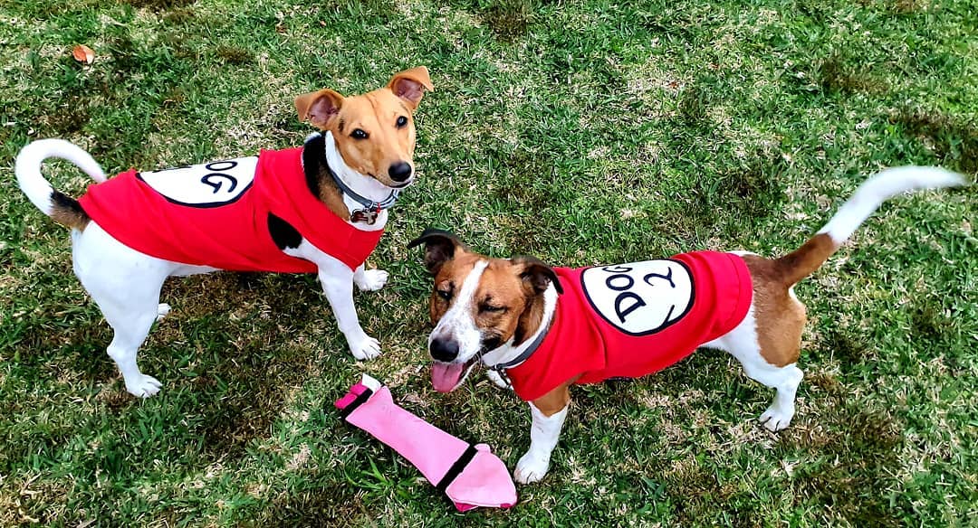 Parisian Pet 'Dog 2' Funny Slogan Dog Shirt – Playful Embroidered Pet Apparel for Dogs & Cats, Red - Image 4
