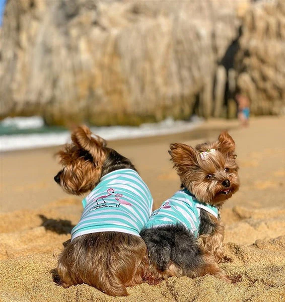 Parisian Pet 'Flamingos' Dog Shirt – Lightweight & Breathable Summer Outfit for Small Dogs & Cats, Light Blue and White Stripes - Image 3