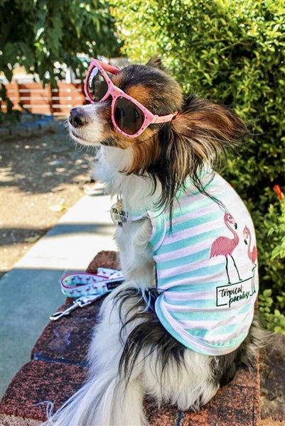 Parisian Pet 'Flamingos' Dog Shirt – Lightweight & Breathable Summer Outfit for Small Dogs & Cats, Light Blue and White Stripes - Image 4