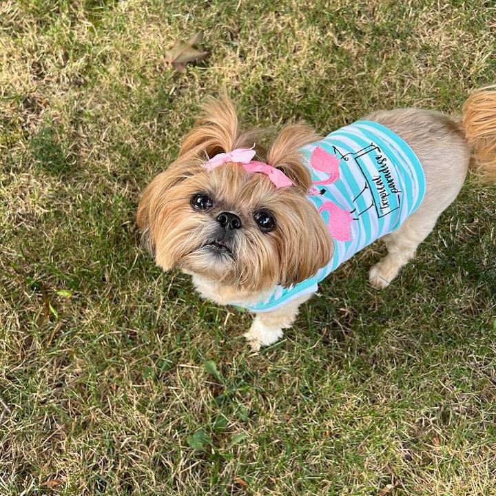 Parisian Pet 'Flamingos' Dog Shirt – Lightweight & Breathable Summer Outfit for Small Dogs & Cats, Light Blue and White Stripes - Image 6